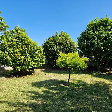 Casa vacanze Casa Suricato *