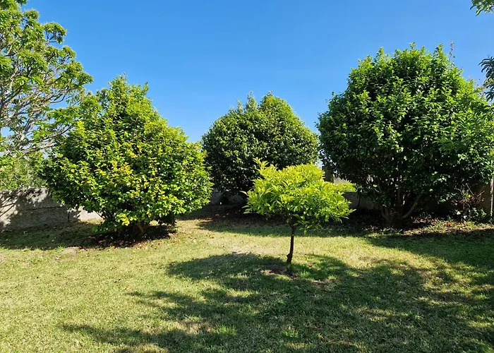 Casa vacanze Casa Suricato *